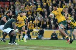 Will Skelton Australia v South Africa 2015