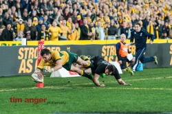 Wallabies' winger, Adam Ashley-Cooper dives for the line to score Australia's second try despite All Blacks' fullback, Ben Smith's valiant effort to stop him.