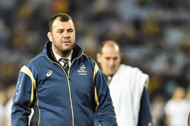 michael cheika