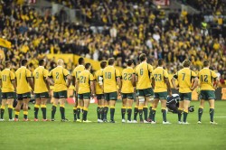 wallabies line up bledisloe