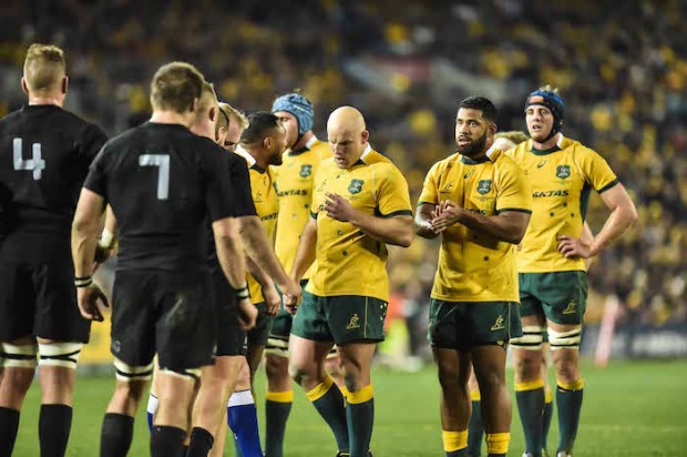 wallabies scrum sio moore