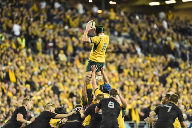 scott fardy wallaby lineout