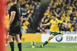 nic white kick wallabies