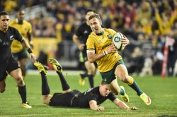 nic white try wallabies