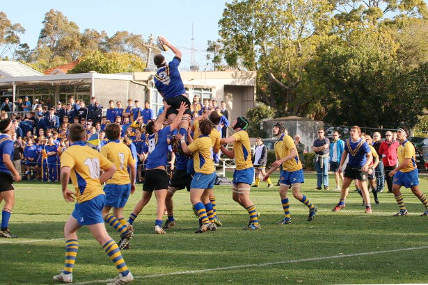 Waverley wins lineout ball