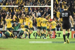 victory wallabies all blacks 2015 anz