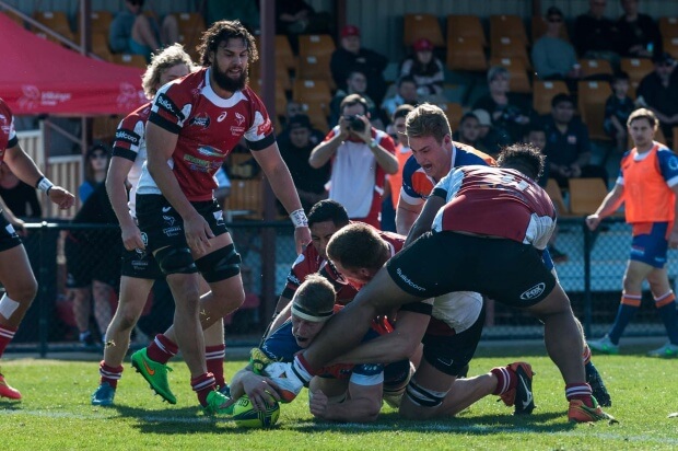 Cohen Masson scores for Greater Sydney Rams 