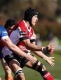 NRC Rd 3 - UC Vikings v Greater Sydney Rams