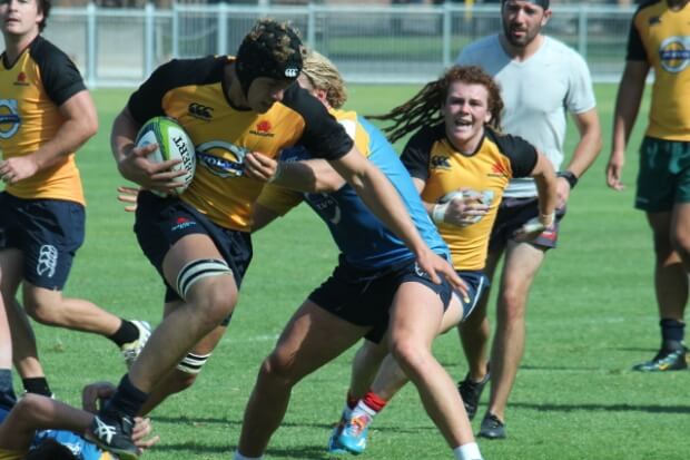 Ned Hanigan - Waratahs bolter