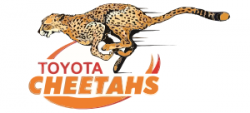 The Cheetahs are on their own this year having split from their franchise partners for 2016