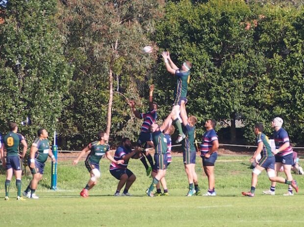 Dewar Shield Melborune Unicorns Box Hill Broncos Shaun Mortensen