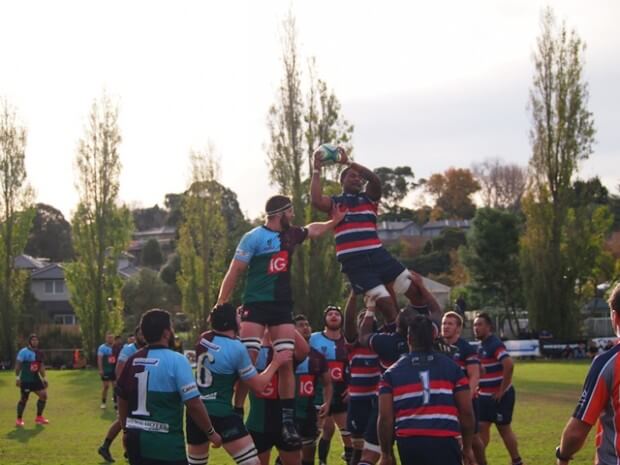 Dewar Shield - Harlequins Box Hill