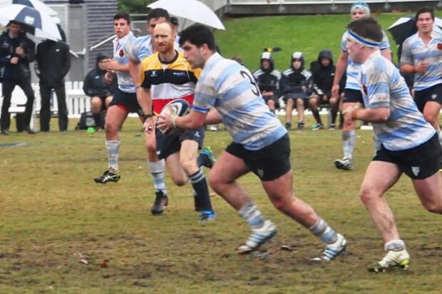 Tight head prop, Daniel Lombardi - one of best for Kings   