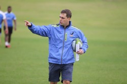 David Wessels has been appointed head coach for the rest of the Force season