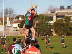 Dewar-Shield-Harlequins-Melbourne