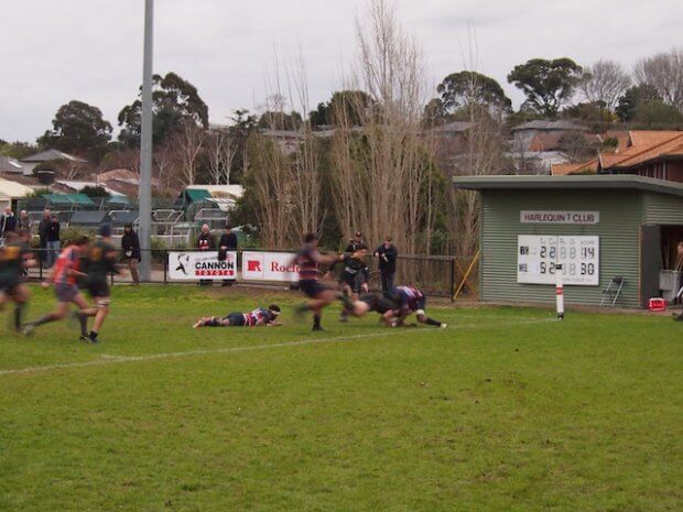 Dewar Shiled Melbourne Box Hill 2