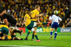 Will Genia kicking for the Wallabies vs All Blacks in Sydney 2016