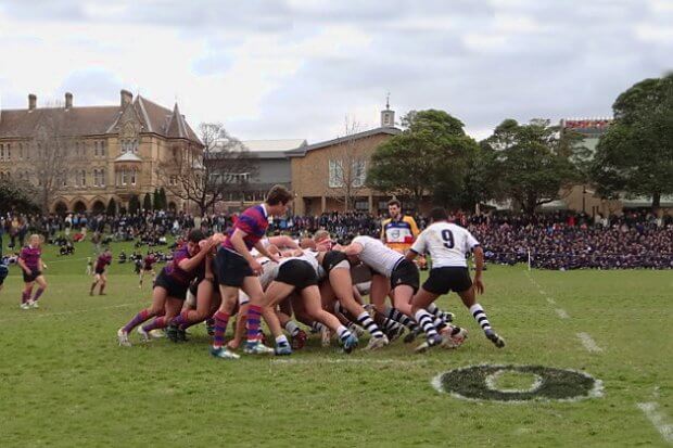 Newington v Joeys 2013 - rugby is a major winter sport in a relatively small number of private schools 