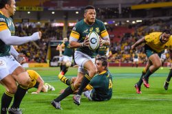 Juan de Jongh looks to put Bryan Habana into space