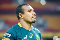 Will Genia in a Springbok jersey