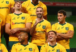 hehe-wallabies