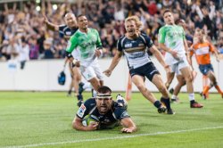Chris Alcock socres for the Brumbies 