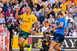 Wallabies v Italy, Suncorp Stadium, 24th June 2017