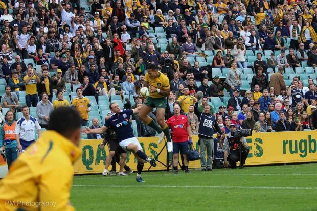 Wallabies v Scotland-13