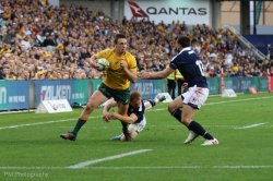 Wallabies v Scotland 2nd half-12