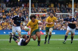 Wallabies v Scotland-4