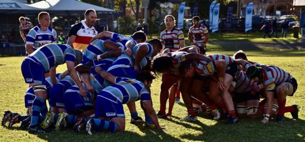 Parramatta vs. Southern Districts (Image Credit - Jessica Reading)