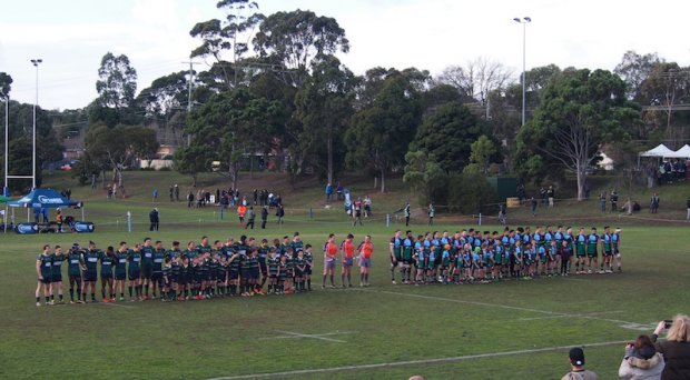 Harlequin-Melbourne Unicorns Dewar-Shield-2017