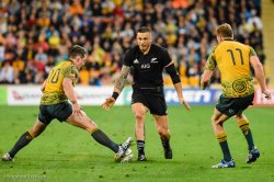 Wallabies v All Blacks, Suncorp Stadium, 21st October 2017