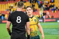 Opposing captains - Kieran Read and Michael Hooper