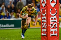 Wallabies v All Blacks, Suncorp Stadium, 21st October 2017