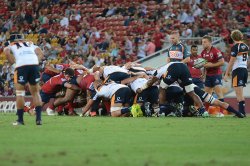 Reds v Brumbies Scrum Super Rugby Round 3 2018_Sully_016