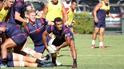 Genia's gearing up to boost the Rebels finals chances