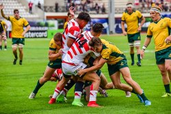 Junior Wallabies defend