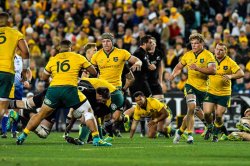 Wallabies vs All Blacks 2018 Bledisloe 1 ANZ Photo Courtesy of Keith McInnes