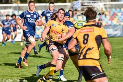 Western Force swing the ball wide