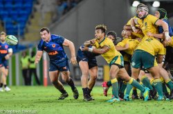 Will Genia clears, watched by Agustin Creevy 