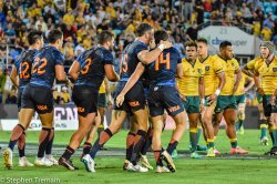Puma's celebrate a try, watched by the Wallabies