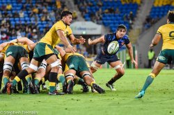 Pete Samu picks up from the back of the scrum