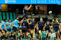 Luke Jones lineout to Genia Waratahs v Rebels 2019 (Credit Keith McInnes)