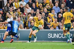 2019-wallabies-v-argentina-20