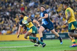 2019-wallabies-v-argentina-9