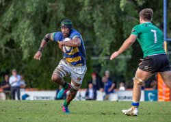 Seru Uru Easts v Sunnybank QLD Premier Rugby (Photo Credit: Brendan Hertel / QRU)