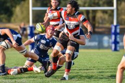 Peter Samu off-loads Canberra Vikings v QLD Country NRC 2019