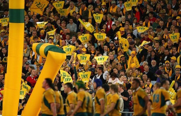 Wallabies fans celebrate a try. Photo: Cameron Spencer/Getty Images