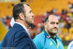 Michael Cheika, Mario Ledesma